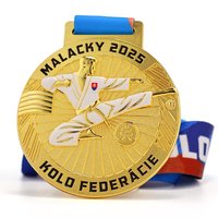 Médaille commémorative de Taekwondo de Slovaquie, de haute qualité, en alliage de zinc durable, or 3D, personnalisée, récompense sportive
