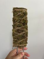 Poteau de mousse de coco plat pour plantes grimpantes
