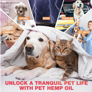 कुत्तों के लिए भांग का तेल तेजी से अवशोषण विटामिन और खनिज आराम के लिए चिंता हिप/संयुक्त दर्द राहत और बेहतर नींद (2 पैक) - Product Image 2