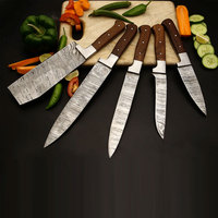 Ensemble de couteaux de chef professionnels multifonctionnels Pak Enterprises, 5 pièces, nouvelle arrivée, OEM personnalisable, fabrication artisanale, 67 couches de damas