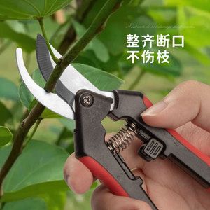 Sécatrices en acier inoxydable, outils de jardin multifonctionnels pour la cueillette des fruits dans les vergers - Product Image 4