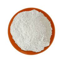 Ciment blanc de haute qualité 42,5 Mpa, ciment Portland blanc 32,5 Mpa 52,5 Mpa, prix bas