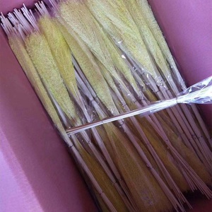 Chine usine en gros l'herbe des bermudes de fleurs séchées - Product Image 5