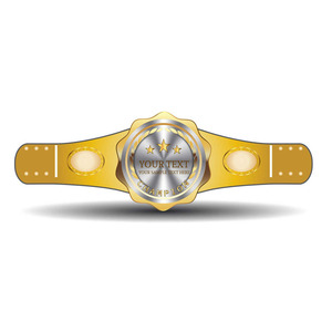 Cinturón de Campeonato Premium al por Mayor con Decoración de Color Sólido, Cinturones de Campeonato Personalizados de Cuero para Torneos de Boxeo - Product Image 2