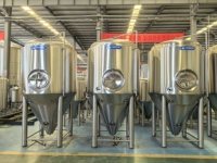 Cassman 15HL Fermenteur conique en acier inoxydable/1500L Fermenteur de bière 15BBL avec récipient sous pression à vendre