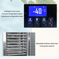 Congélateur à air pulsé Kolice BF-10 à 10 plateaux, température unique, ventilateur de refroidissement, dégivrage automatique, niveau d'efficacité énergétique 5