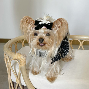 Vendita calda stile coreano di moda Designer con imbracatura per gatti abbigliamento moda per cani vestiti di lusso abiti per gatti vestiti per animali domestici - Product Image 5