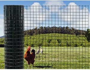 Stylos à poulet bon marché et <span class=keywords><strong>cage</strong></span> à lapin/oiseau galvanisée revêtue de pvc 6x8 en treillis métallique soudé - Product Image 5