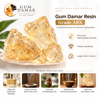 Résine de Damar Gommeuse Dorée Transparente Naturelle Grade ABX Liquide pour Revêtement, Provenant de Lampung, Indonésie, pour Peinture Marine, Parfumerie et Aromathérapie