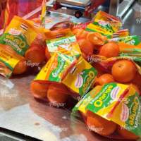 Jeruk Mandarin Valencia Segar Manis Kelas A Hubei Cina +40 Hari Penyimpanan Dingin