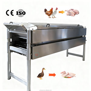Machine à plumer les <span class=keywords><strong>oiseaux</strong></span> automatique en acier inoxydable 304 avec moteur |   Épluchage des <span class=keywords><strong>plumes</strong></span> de volaille à haute efficacité pour les abattoirs - Product Image 2