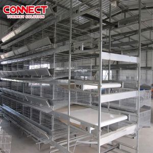 Sistema di Gabbie per Galline Ovaiole Automatico Multilivello Tipo H in Materiale HDG Completo per Allevamento Avicolo - Product Image 3