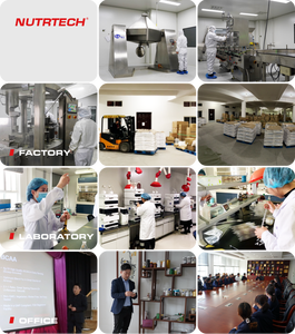 Private Label Sportsupplementen Creatina Hcl Kauwt Gummies Candy Creatine Monohydraat Kauwgummy Creatine - Product Image 6