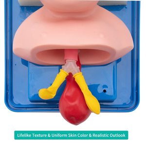 Model Pengajaran Manikin Intubasi Bayi Baru Lahir Simulasi Intubasi Trakea Hidung Oral Trainer Manajemen Jalur Napas untuk Demonstrasi - Product Image 3