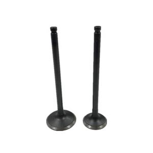 GA14 16V pièces de moteur de bonne qualité soupape d'admission d'échappement - Product Image 1
