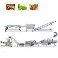Fruit- en groentechipslijn vacuüm laagtemperatuur friteer technologie voor gezonde snacks