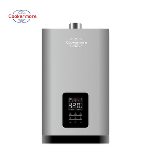 Máy nước nóng khí nặng 10L công suất với khóa an toàn và sưởi ấm ổn định sử dụng khí thấp - Product Image 1