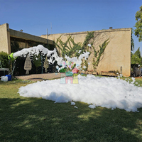 Structures gonflables pour fêtes en plein air, arène de danse pour enfants, piscines à bulles gonflables, machine à mousse, canon à fête