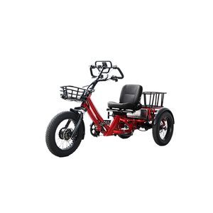 <span class=keywords><strong>Tricycle</strong></span> Électrique <span class=keywords><strong>Adulte</strong></span> 750W en Promotion 2026, Vélo Électrique à 3 Roues 60Ah 48V, 1 Batterie Tout-Terrain, Autonomie Étendue 200KM - Product Image 2