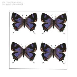 Etiquetas Permanentes Personalizadas al por Mayor para Envíos Postales, Colección Hairstreak Colorado 2021, Impresión en Papel, Venta al por Mayor en EE. UU. - Product Image 6