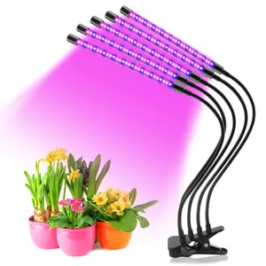 Lampe Phyto Led de croissance des plantes à spectre complet, USB, pour semis de fleurs hydroponiques, tente, boîte d'intérieur