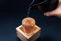맞춤형 히노키 마스 전통 수제 나무 술잔 180ml 일본 마스 텀블러 박스
