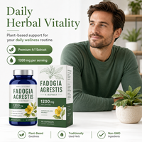 Qualité Export Fadogia Agrestis Complex 60 Capsules Végétaliennes pour les Marchés Américains et Européens Étiquette Nettoyée Performance Bien-être Prix de Gros