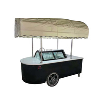 Tricycle électrique entièrement équipé pour la vente de crème glacée roulée pour aliments, vélo, camion, remorque, chariot, voiture avec roues de congélation