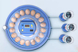 Tự Động Kiểm Soát Nhiệt Độ 52 Trứng Lồng Ấp Cho Gà Ngỗng Vịt Chim Cút Trứng Sử Dụng Giá Rẻ Bán - Product Image 3