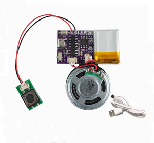 USB lập trình mô-đun âm thanh tải về cho thẻ và đồ chơi - Product Image 3