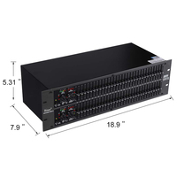 Ecualizador Doble Profesional Anti-Howling Biner D225 de 31 Segmentos para Actuaciones en Escenario y KTV