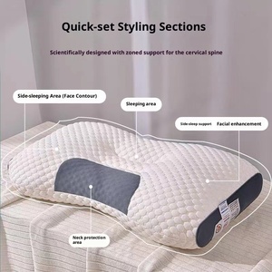 <span class=keywords><strong>Oreiller</strong></span> cervical moderne en polyester 200TC, anti-acariens, avec soutien cervical solide et personnalisable, directement de l'usine - Product Image 2