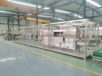 Machine d'abattage de poulets halal avec éplucheuse de type nouveau 300-1000bph, équipement essentiel pour l'élevage de poulets, dotée de roulements