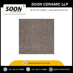 Azulejos de porcelana para exteriores ecológicos y a prueba de manchas 20X20 pulgadas diseñados para espacios al aire libre de la India - Product Image 2