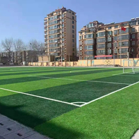 Tapis d'herbe artificielle bon marché de 50mm chinois pour le terrain de football
