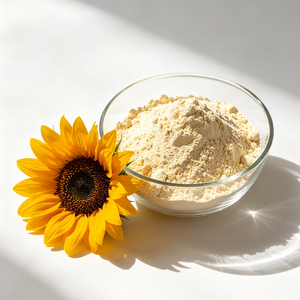 Proteína Vegetal en Polvo <span class=keywords><strong>Sin</strong></span> <span class=keywords><strong>Edulcorantes</strong></span> Artificiales, <span class=keywords><strong>Sin</strong></span> Lácteos, <span class=keywords><strong>Sin</strong></span> OMG, Vegana, <span class=keywords><strong>Sin</strong></span> Gluten, Proteína de Semilla de Calabaza - Product Image 1
