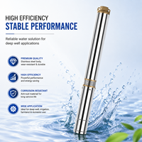 Pompe submersible électrique OEM SN en acier inoxydable pour puits profond, pompe de forage pour l'extraction d'eau de puits, usage agricole