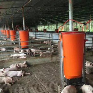 Équipement économique pour animaux de compagnie, concentrés d'alimentation pour cochon, dédie aux animaux - Product Image 4