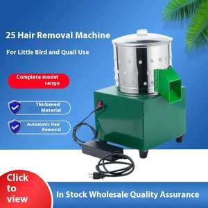 Macchina automatica per la rimozione dei peli di piccoli uccelli quaglia in acciaio inossidabile macchina per la depilazione per il pollo per la zootecnia nuovo motore - Product Image 5