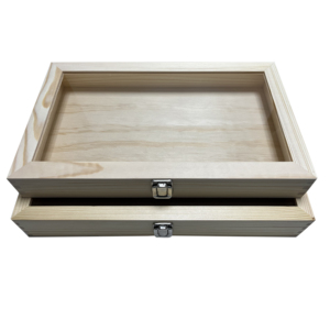 Vitrine d'exposition de spécimens de musée avec étagères en verre - Product Image 4