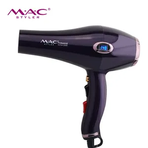 Hot Selling Hair Dryer Electric Blow Dryer Professional Salon Professional AC Motor 2200W Portable Hair Dryers