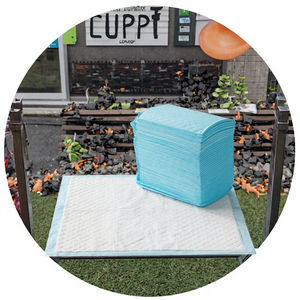 Muestra Gratuita de Empapadores de Entrenamiento Desechables para Cachorros de 22"x22" y 28x30" de PET Absorbente para Perros Pequeños, Proveedor Ofrece Empapadores de Entrenamiento Hechos de Papel - Product Image 2