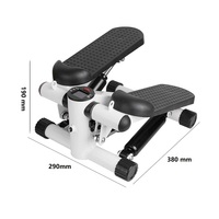 GARIDA – Mini Stepper d'escalier Portable, Fitness, hydraulique, Machine d'exercice, avec résistance