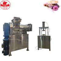 Ligne de production de savon entièrement automatique pour le savon de lessive et de toilette