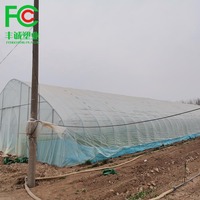 Films de serre haute tunnel en plastique stabilisé aux UV de 200 microns, diffuseur de lumière infrarouge, film agricole pour les légumes