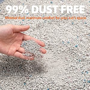 하이 퀄리티 저렴한 가격의 친환경 벤지 고양이 쓰레기 공장 직판 강한 고착 벤토나이트 키티 모래 - Product Image 5