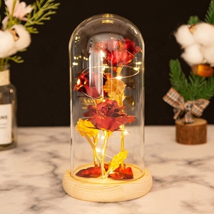 Luz LED de arcoíris dorada de 24k, lámina de galaxia Artificial, Rosa en cúpula de cristal para el día de <span class=keywords><strong>la</strong></span> madre, para vacaciones - Product Image 5