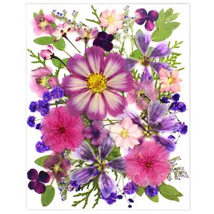 Fleurs séchées naturelles violettes, lot de 35 pièces pour la fabrication de bougies, la décoration de savons, les loisirs créatifs, le scrapbooking et la création de cartes - Product Image 2