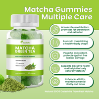Gummies à la pectine de thé vert matcha Meelefu, catechines de matcha pour le métabolisme et le bien-être digestif