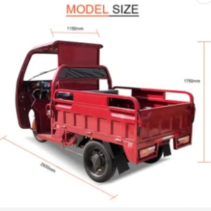 Wholesale Cargo Tricycle 1000W 1500W 2000W Electric Tricycle Load Capacity 1000 kg Cargo Etrike - Product Image 3